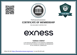 Understanding Exness Server A Comprehensive Guide Understanding Exness Server A Comprehensive Guide